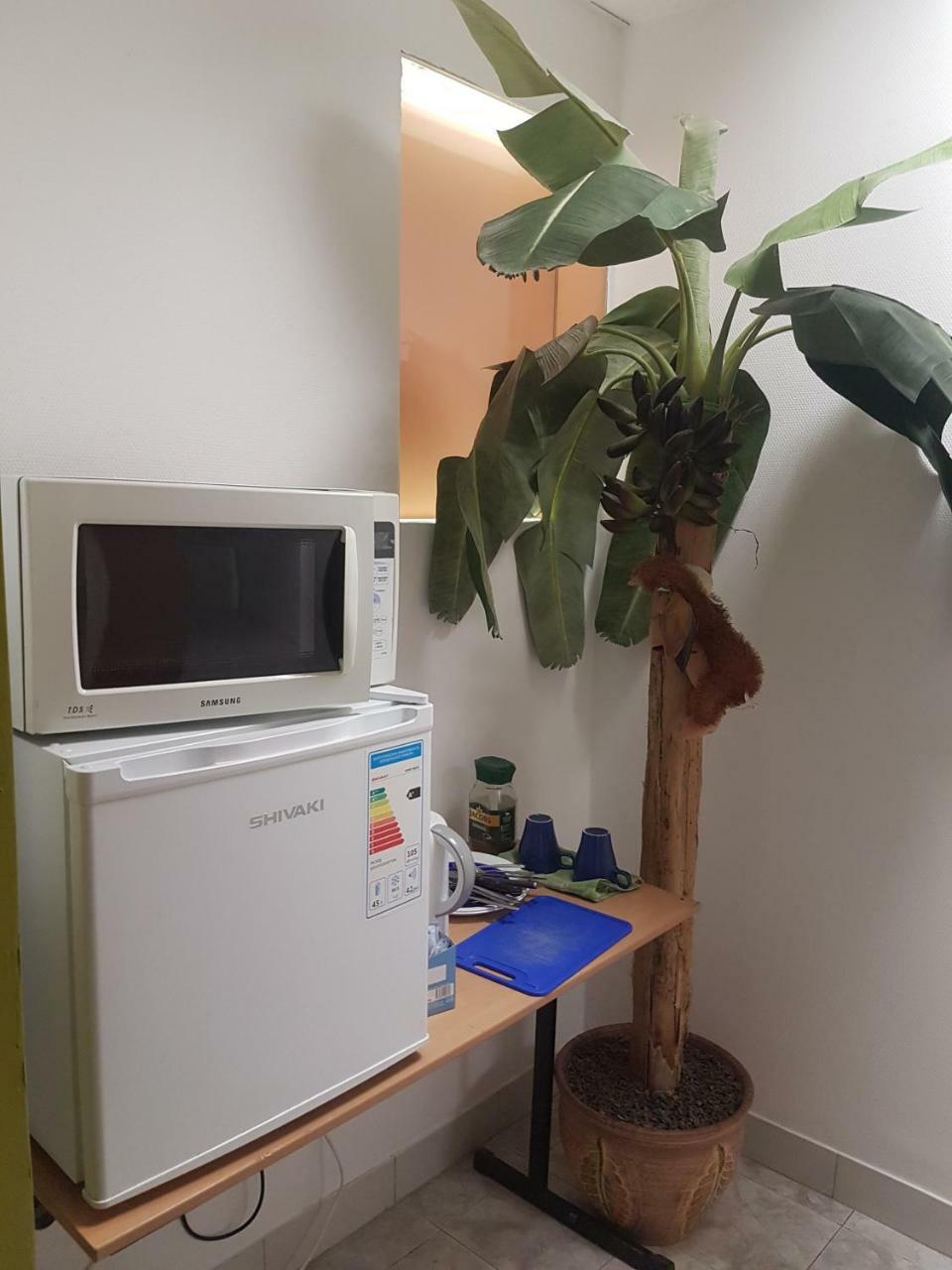 Apartament Erfolg 11 داوُجافبيلسْ المظهر الخارجي الصورة